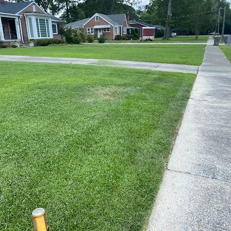 Lawn Fertilization From Spring to Fall. What Your Lawn Needs Each Season