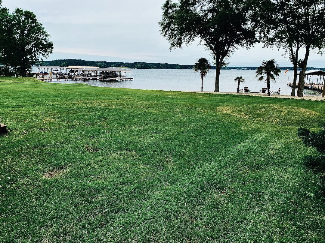 Professional fertilizer and weed control in Cross Hill, SC 