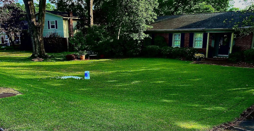 Professional Lawn Fertilization and weed control on Clinton, SC