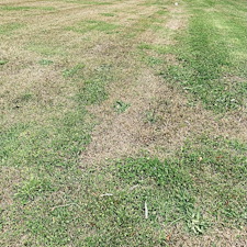 Professional-Lawn-Fertilization-and-weed-control-on-Clinton-SC 0