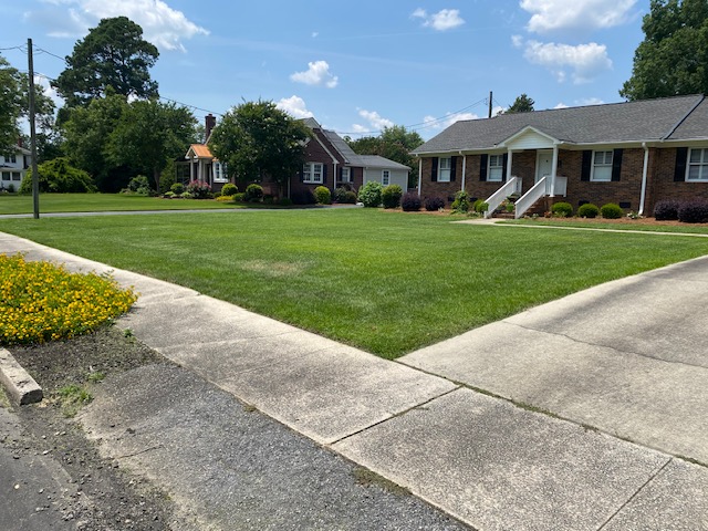 Professional mowing in Clinton, SC 3