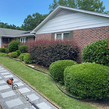 Professional-shrub-trimming-in-Joanna-SC 0