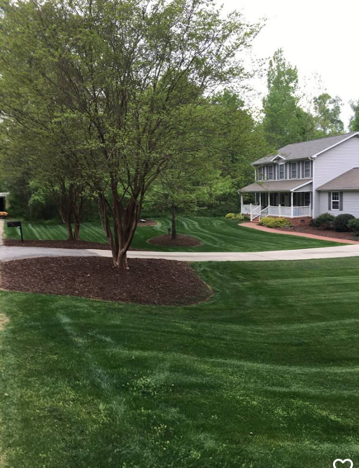 Professional weed control and fertilization services in Fountain Inn SC