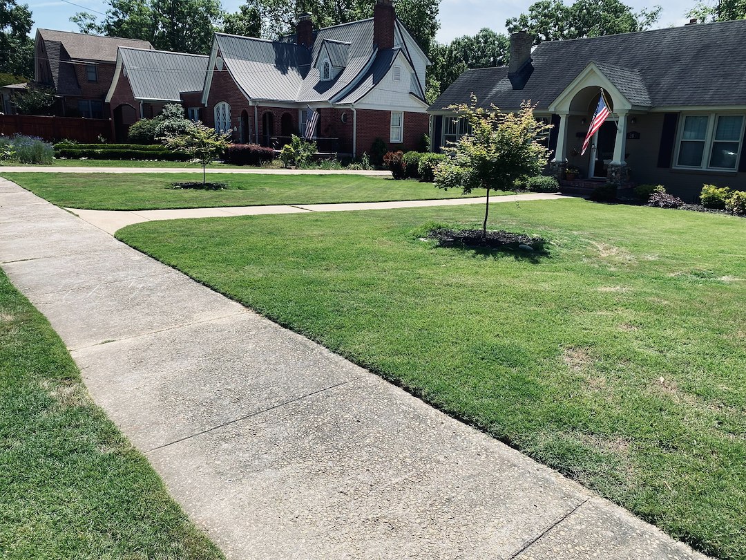Professional weed control and fertilization services in Clinton SC