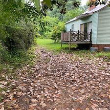 Professional-yard-cleanup-in-Joanna-SC 1