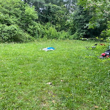 Professional-yard-cleanup-in-Joanna-SC 0