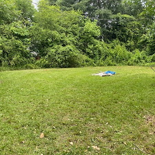 Professional-yard-cleanup-in-Joanna-SC 4
