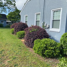 Top-quality-shrub-trimming-performed-in-Clinton-SC 1